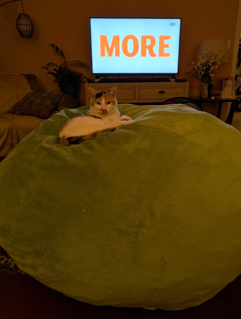 The EDUJIN Five Foot Velvet Memory Foam Bean Bag Chair
