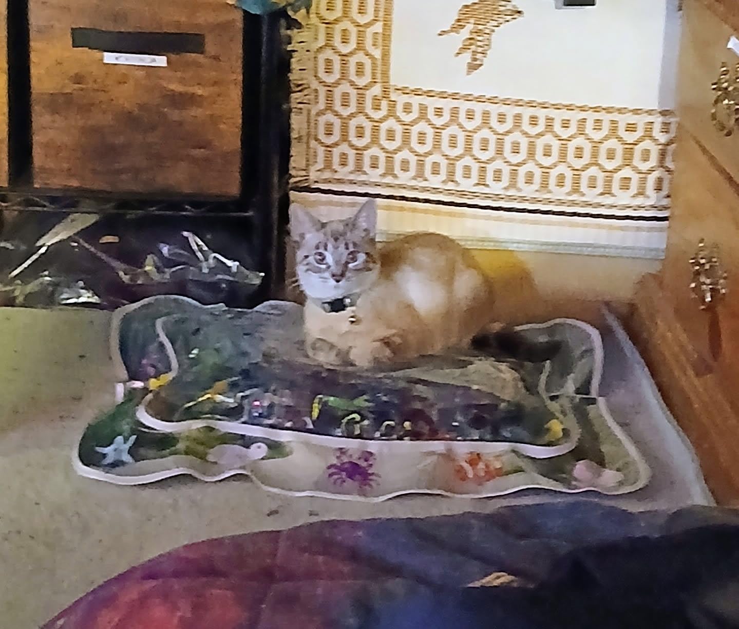 The Splash Proof Water Mat for Indoor Cats